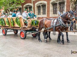 2025_05_25_festsonntag 099